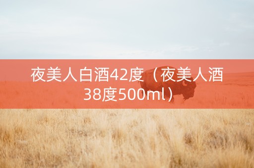 夜美人白酒42度（夜美人酒38度500ml）