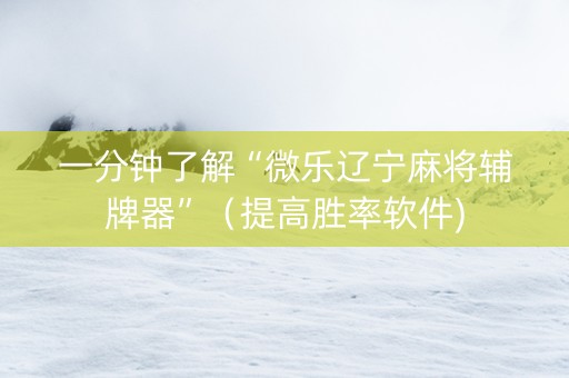 一分钟了解“微乐辽宁麻将辅牌器”（提高胜率软件)