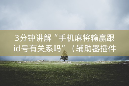 3分钟讲解“手机麻将输赢跟id号有关系吗”（辅助器插件)