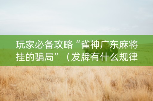 玩家必备攻略“雀神广东麻将挂的骗局”（发牌有什么规律吗)