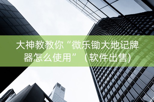 大神教教你“微乐锄大地记牌器怎么使用”（软件出售)