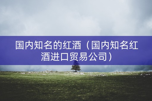 国内知名的红酒（国内知名红酒进口贸易公司）