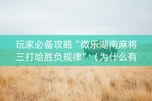 玩家必备攻略“微乐湖南麻将三打哈胜负规律”（为什么有人一直赢)