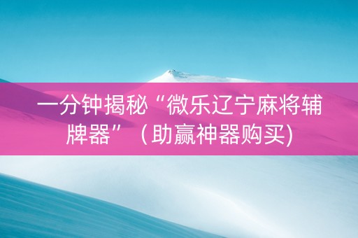 一分钟揭秘“微乐辽宁麻将辅牌器”（助赢神器购买)