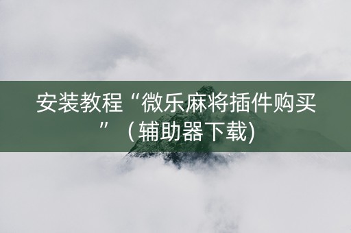 安装教程“微乐麻将插件购买”（辅助器下载)