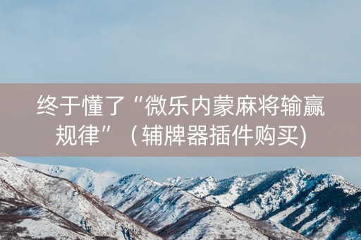 终于懂了“微乐内蒙麻将输赢规律”（辅牌器插件购买)