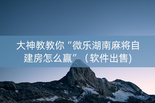 大神教教你“微乐湖南麻将自建房怎么赢”（软件出售)
