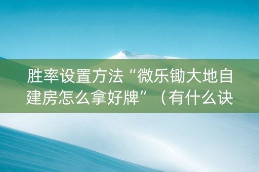 胜率设置方法“微乐锄大地自建房怎么拿好牌”（有什么诀窍)