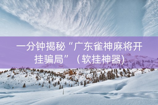 一分钟揭秘“广东雀神麻将开挂骗局”（软挂神器)