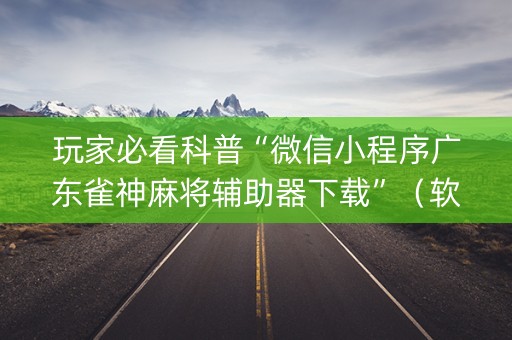 玩家必看科普“微信小程序广东雀神麻将辅助器下载”（软挂神器)