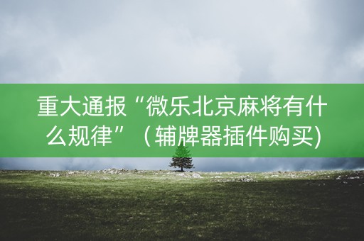 重大通报“微乐北京麻将有什么规律”（辅牌器插件购买)