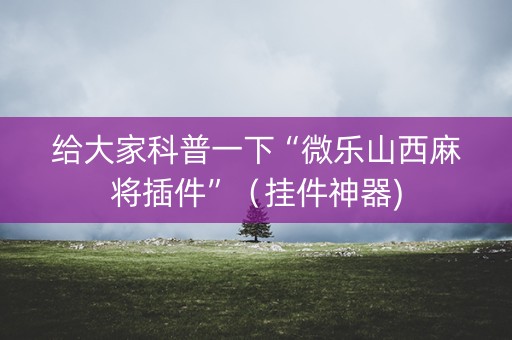 给大家科普一下“微乐山西麻将插件”（挂件神器)