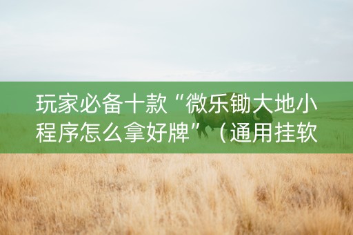 玩家必备十款“微乐锄大地小程序怎么拿好牌”（通用挂软件多少钱)