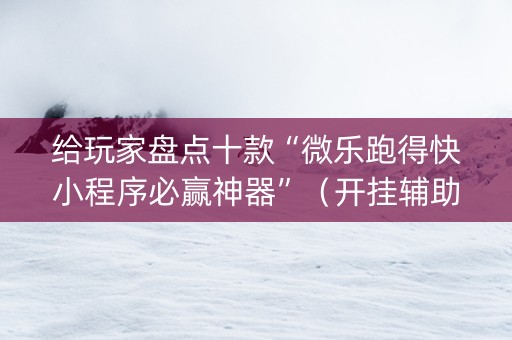 给玩家盘点十款“微乐跑得快小程序必赢神器”（开挂辅助插件)