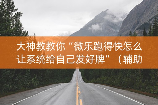 大神教教你“微乐跑得快怎么让系统给自己发好牌”（辅助器插件)