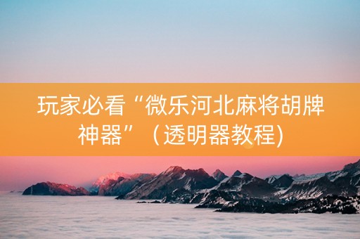 玩家必看“微乐河北麻将胡牌神器”（透明器教程)