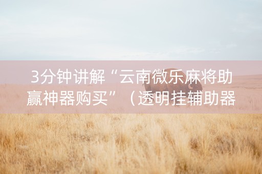 3分钟讲解“云南微乐麻将助赢神器购买”（透明挂辅助器)