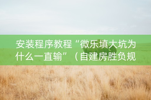 安装程序教程“微乐填大坑为什么一直输”（自建房胜负规律)