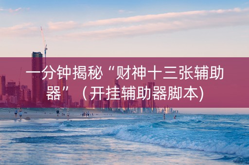 一分钟揭秘“财神十三张辅助器”（开挂辅助器脚本)