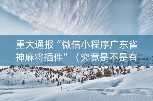 重大通报“微信小程序广东雀神麻将插件”（究竟是不是有挂)