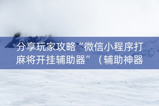分享玩家攻略“微信小程序打麻将开挂辅助器”（辅助神器免费)
