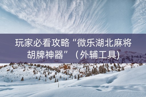 玩家必看攻略“微乐湖北麻将胡牌神器”（外辅工具)
