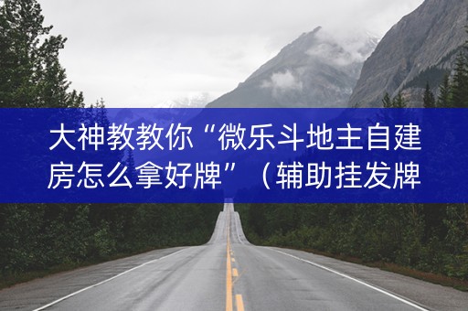 大神教教你“微乐斗地主自建房怎么拿好牌”（辅助挂发牌规律)