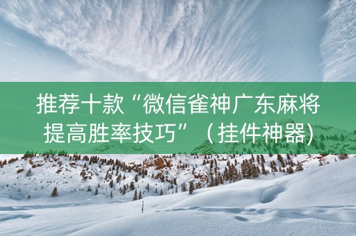 推荐十款“微信雀神广东麻将提高胜率技巧”（挂件神器)