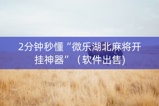 2分钟秒懂“微乐湖北麻将开挂神器”（软件出售)