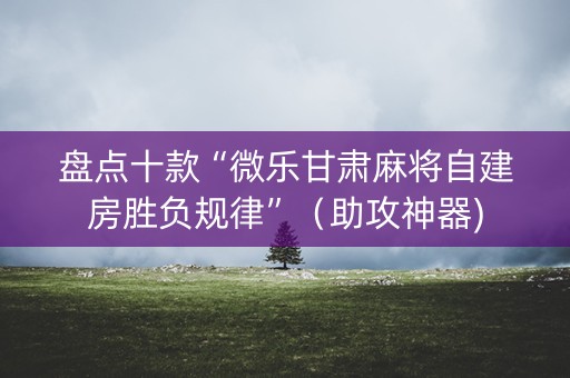 盘点十款“微乐甘肃麻将自建房胜负规律”（助攻神器)