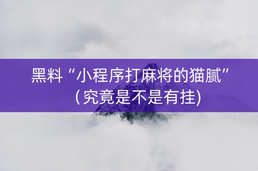 黑料“小程序打麻将的猫腻”（究竟是不是有挂)