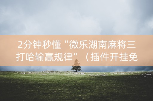 2分钟秒懂“微乐湖南麻将三打哈输赢规律”（插件开挂免费AI)