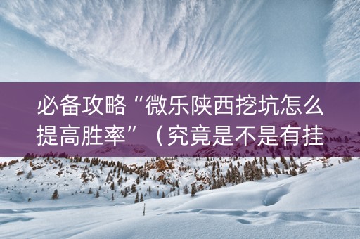 必备攻略“微乐陕西挖坑怎么提高胜率”（究竟是不是有挂)