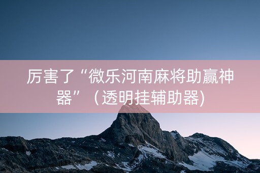 厉害了“微乐河南麻将助赢神器”（透明挂辅助器)