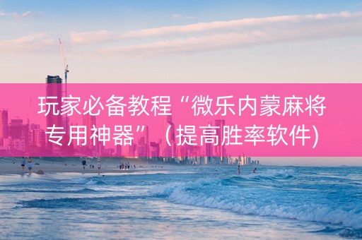 玩家必备教程“微乐内蒙麻将专用神器”（提高胜率软件)