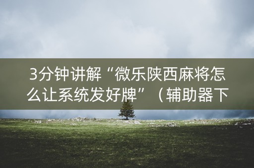 3分钟讲解“微乐陕西麻将怎么让系统发好牌”（辅助器下载)