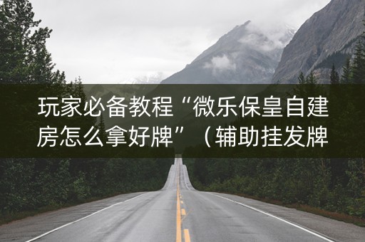 玩家必备教程“微乐保皇自建房怎么拿好牌”（辅助挂发牌规律)
