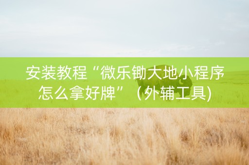 安装教程“微乐锄大地小程序怎么拿好牌”（外辅工具)
