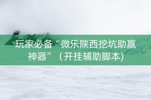 玩家必备“微乐陕西挖坑助赢神器”（开挂辅助脚本)