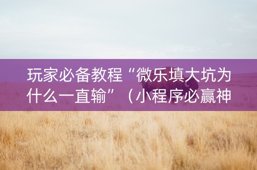 玩家必备教程“微乐填大坑为什么一直输”（小程序必赢神器)