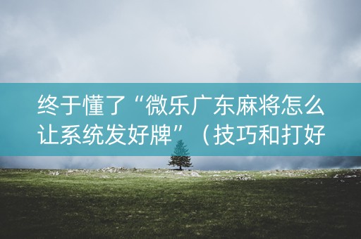 终于懂了“微乐广东麻将怎么让系统发好牌”（技巧和打好牌方法)