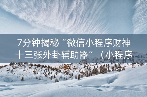 7分钟揭秘“微信小程序财神十三张外卦辅助器”（小程序辅助软件)