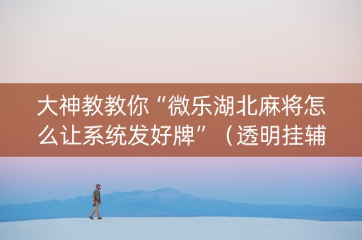 大神教教你“微乐湖北麻将怎么让系统发好牌”（透明挂辅助器)