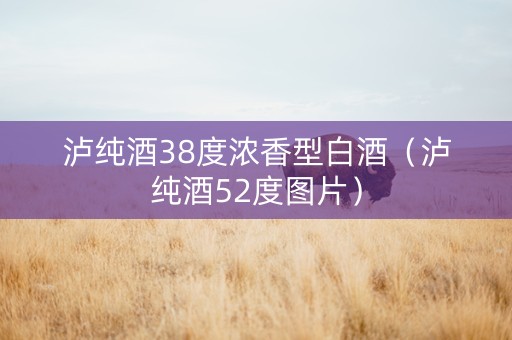 泸纯酒38度浓香型白酒（泸纯酒52度图片）