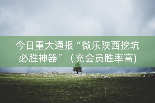 今日重大通报“微乐陕西挖坑必胜神器”（充会员胜率高)