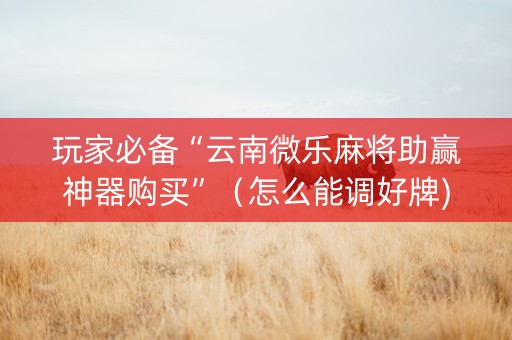 玩家必备“云南微乐麻将助赢神器购买”（怎么能调好牌)