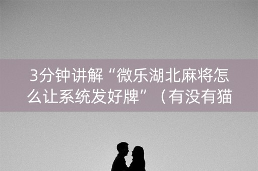 3分钟讲解“微乐湖北麻将怎么让系统发好牌”（有没有猫腻)