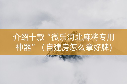 介绍十款“微乐河北麻将专用神器”（自建房怎么拿好牌)