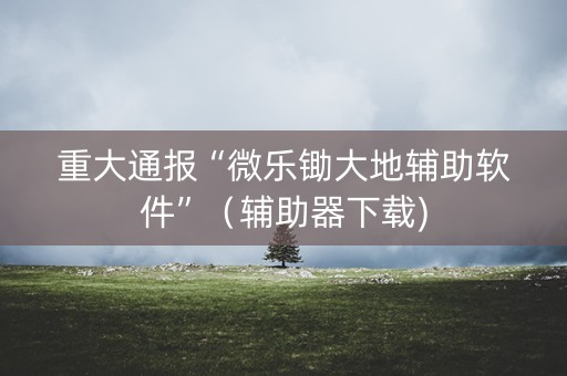 重大通报“微乐锄大地辅助软件”（辅助器下载)