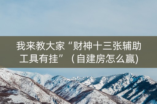 我来教大家“财神十三张辅助工具有挂”（自建房怎么赢)